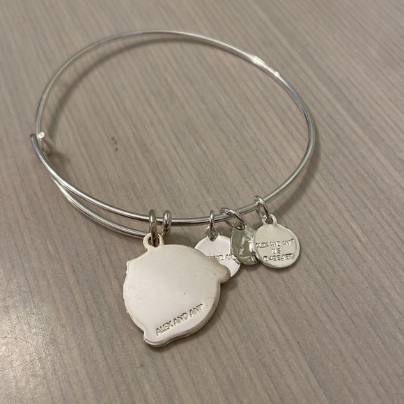 NEW Alex and Ani SANTA CLAWS CAT Shiny Silver Charm Expandable Bangle Bracelet - Picture 3 of 3